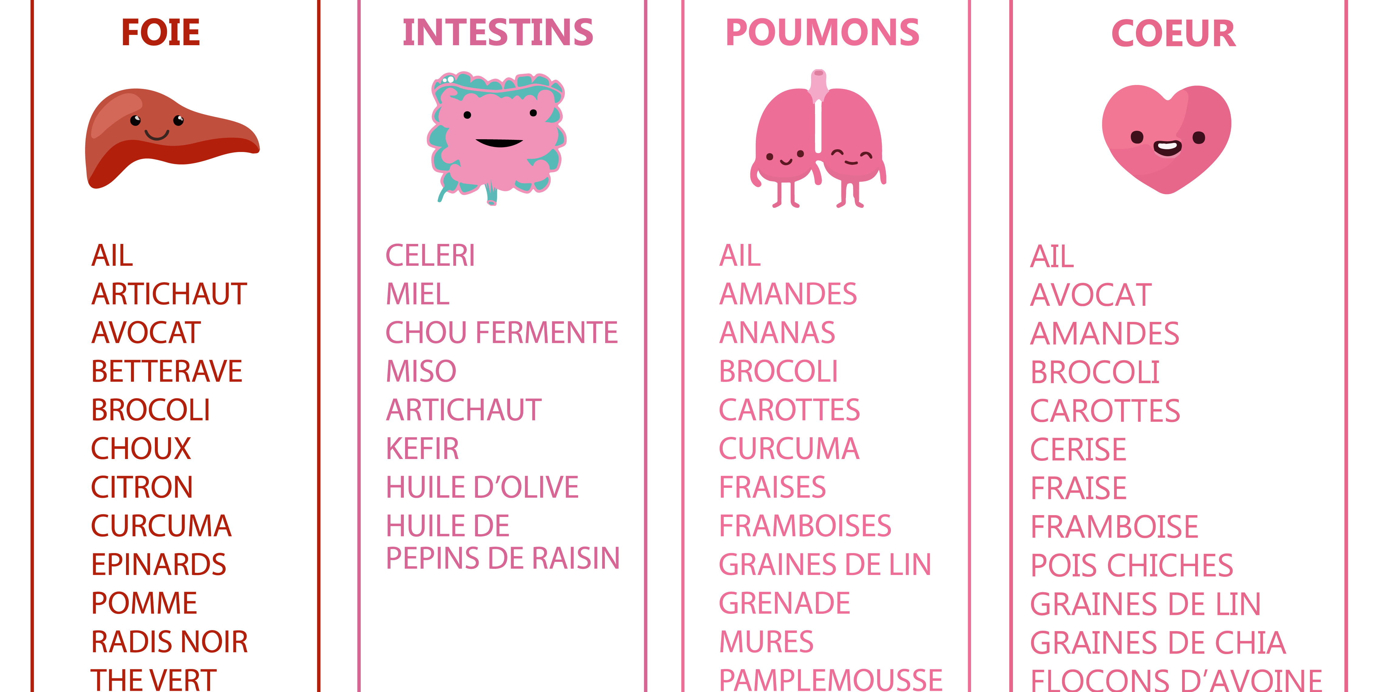 Fiche pratique - les aliments bénéfiques pour les organes Fiche pratique - les aliments bénéfiques pour les organes