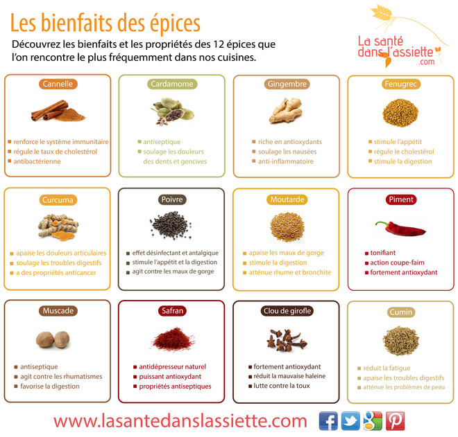 La Santé dans l'Assiette Fiche pratique Les bienfaits et propriétés des épices La Santé dans l'Assiette Fiche pratique Les bienfaits et propriétés des épices