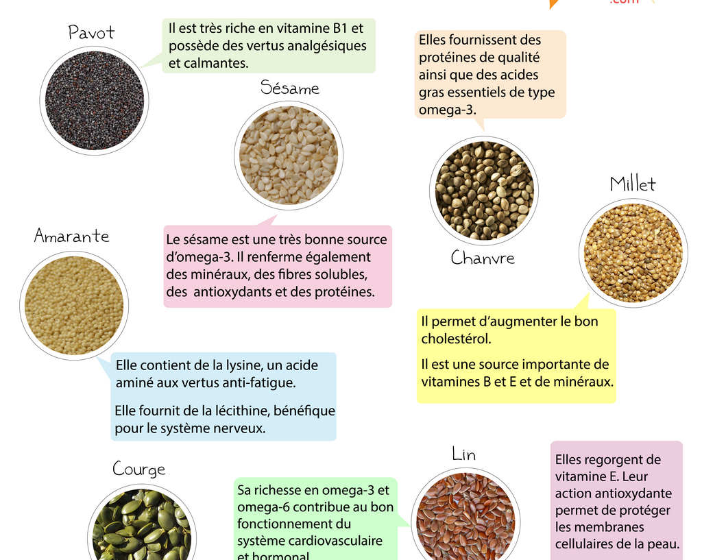 La Santé dans l