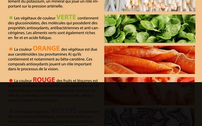 couleurs