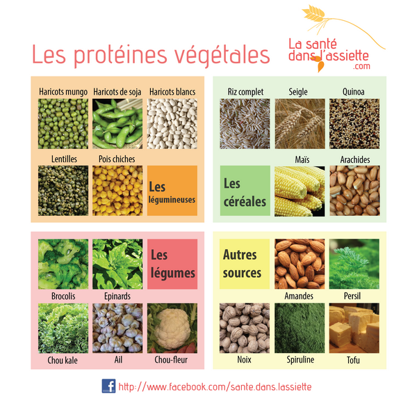 protéines_végétales