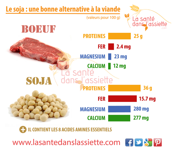 soja_alternative_viande