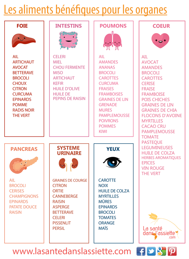 aliments_organes