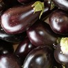 aubergine