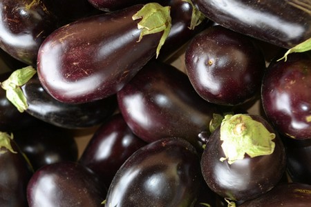 aubergine