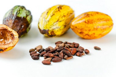 cacao