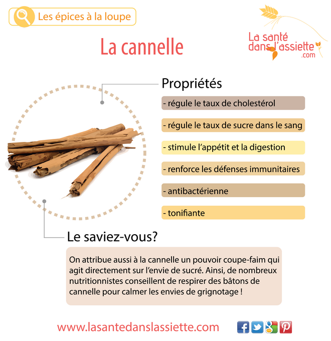 cannelle_propriétés