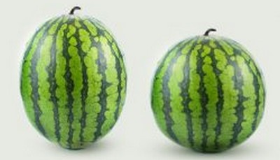 pastèque