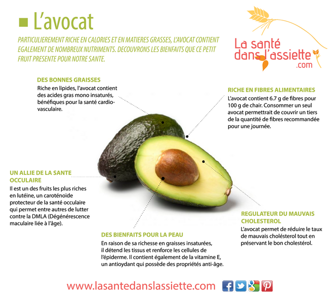 avocat_bienfaits