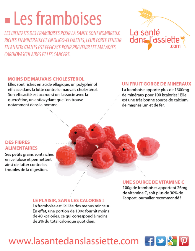 bienfaits_framboises