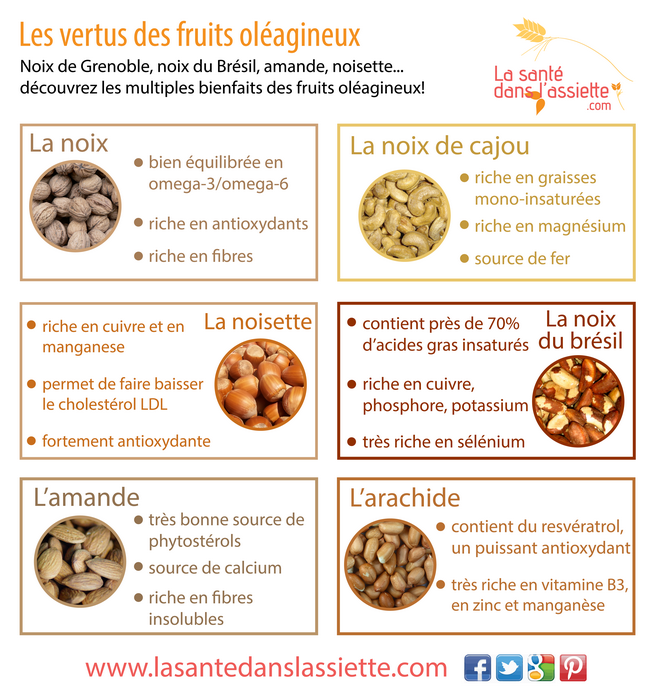 fruits_oléagineux_bienfaits