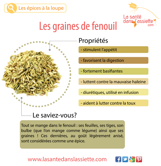 graines_de_fenouil