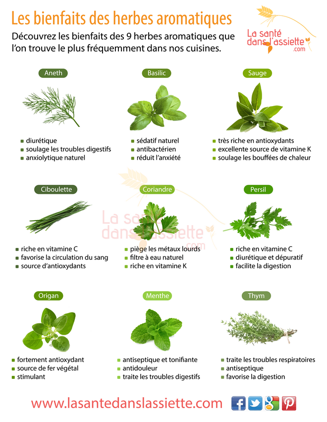 bienfaits_herbes_aromatiques