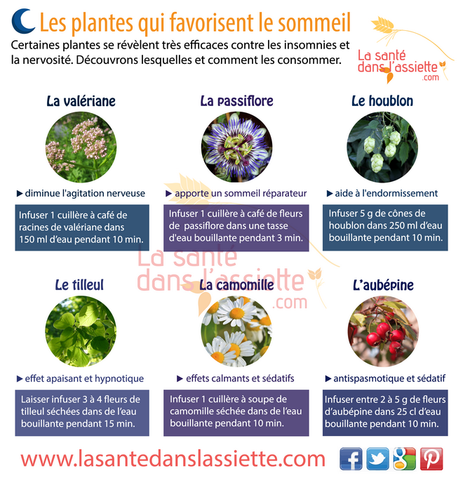 plantes_sommeil