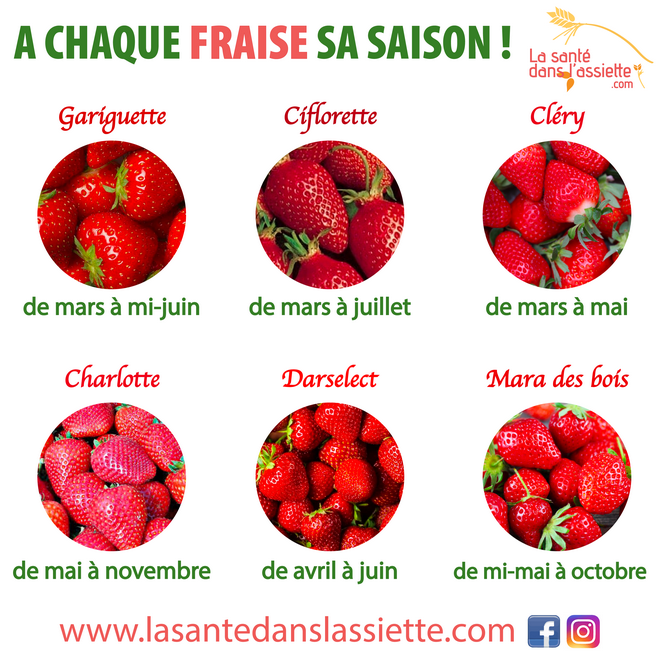 fraises_saison