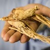 ginseng_bienfaits