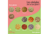 céréales_gluten