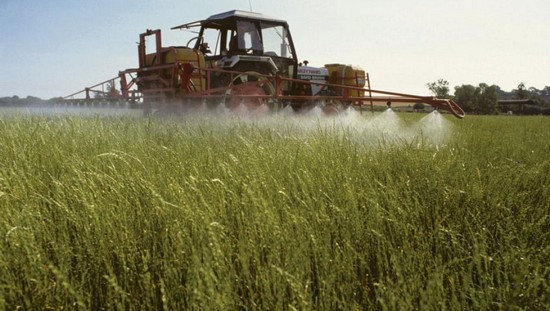 glyphosate