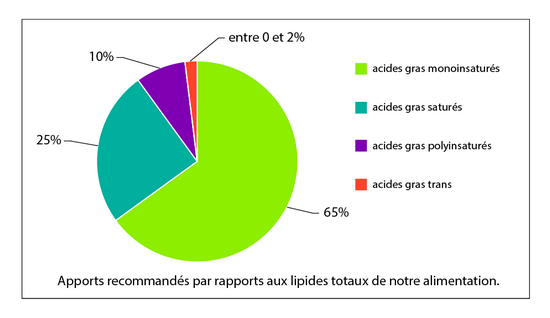 graisses_consommation