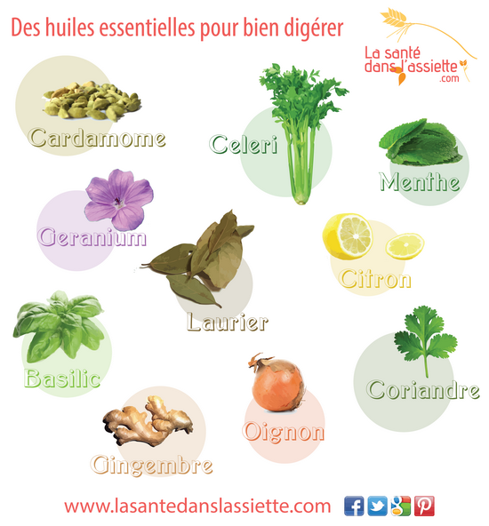 huiles_essentielles_digestion