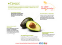 avocat