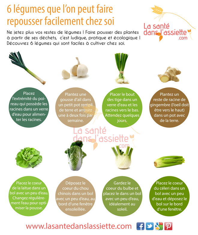 légumes_repousser