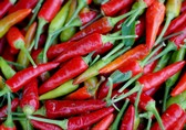 piments