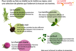 plantes_foie