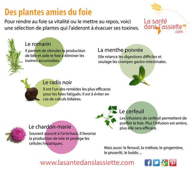 plantes_foie