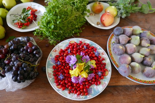 plantes_sauvages