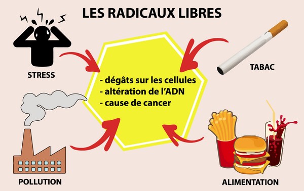 radicaux_libres