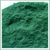 spiruline