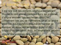 lentilles