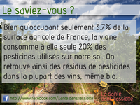 pesticides_vignes