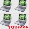 toshiba_legumes_usine