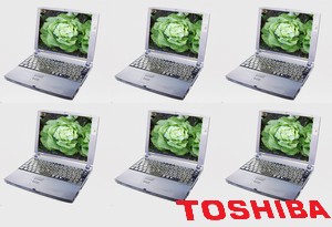 toshiba_légumes_usine
